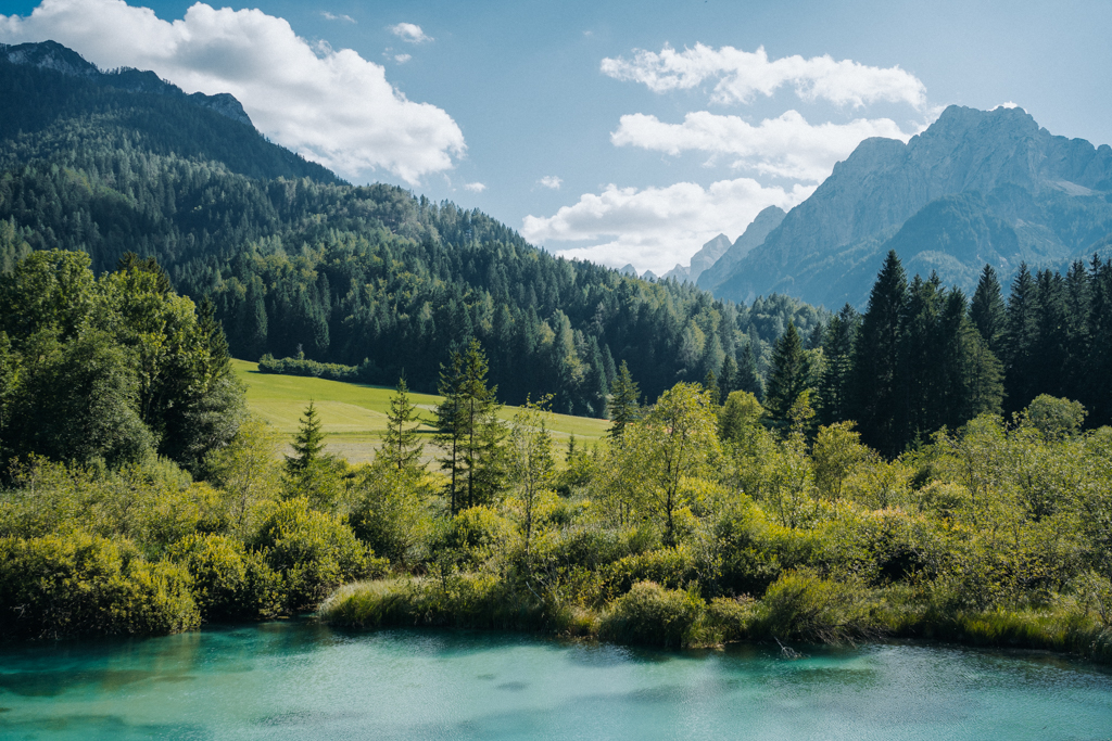 Sehenswürdigkeit Zelenci in Kranjska Gora mit Blick auf die Alpen während des Roadtrip in Slowenien