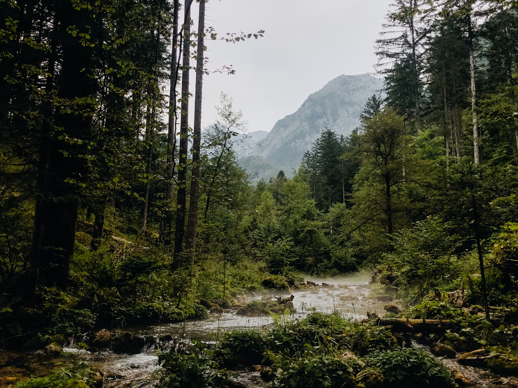 Fluss Kamniška Bistrica mit Bergen im Hintergrund während des Regen, entdeckt beim Roadtrip in Slowenien