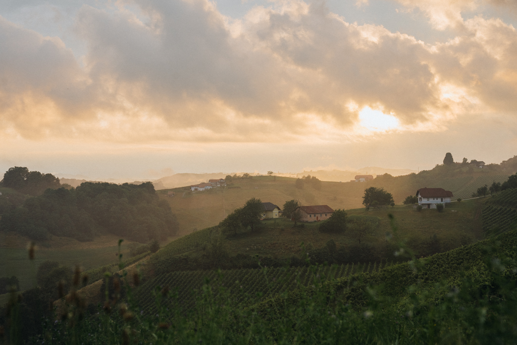 Toskana Sloweniens im Osten am Weingut Mulec während des Roadtrip durch Slowenien