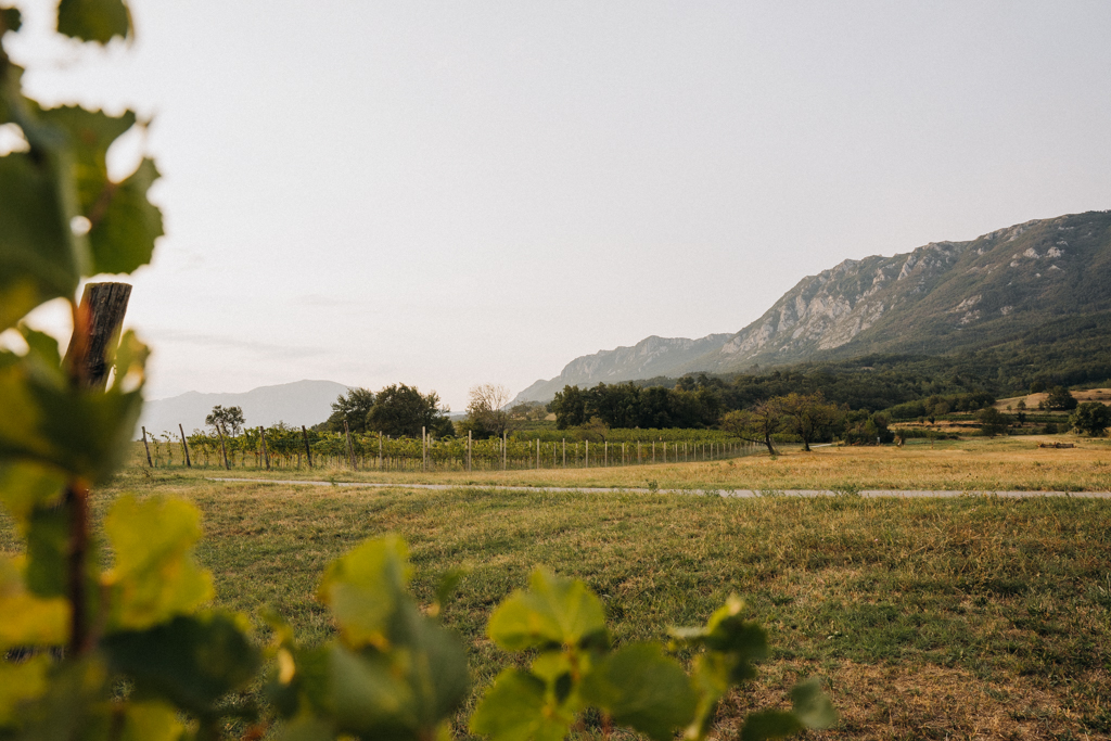 Blick auf die Berge im Vipava Valley mit Weinreben im Vordergrund